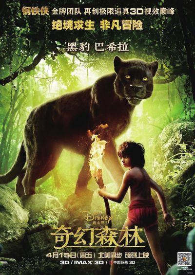 坦帕大学国际商务文凭证书